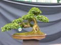 DSCN2718