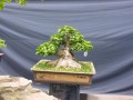 DSCN2723