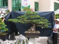DSCN2653