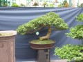DSCN2730