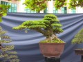 DSCN2714