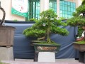 DSCN2729