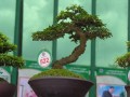 DSCN2587
