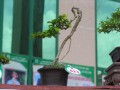 DSCN2596