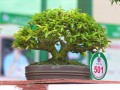 DSCN2591