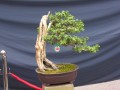 DSCN2712