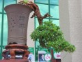 DSCN2585