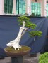 DSCN2732