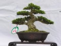 DSCN2576