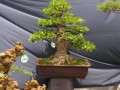 DSCN2654