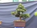 DSCN2722