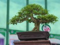 DSCN2595