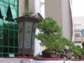 DSCN2601