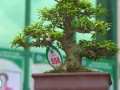 DSCN2592