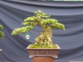 DSCN2719