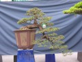 DSCN2715