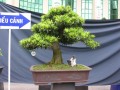DSCN2716
