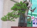 DSCN2600