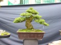 DSCN2724