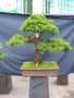 DSCN2731