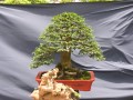 DSCN2655