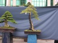 DSCN2741