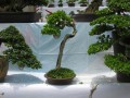 DSCN2816