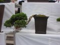 DSCN2832