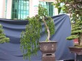DSCN2743