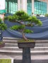 DSCN2757