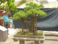 DSCN2775