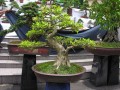 DSCN2772