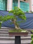 DSCN2758