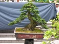 DSCN2771