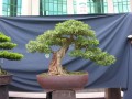 DSCN2744