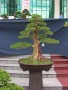 DSCN2764