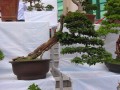 DSCN2829