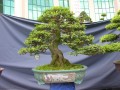 DSCN2746
