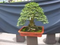 DSCN2785