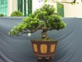 DSCN2803