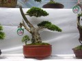 DSCN2821