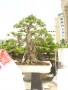 DSCN2782