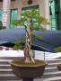 DSCN2768