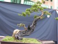 DSCN2759