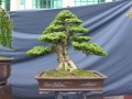 DSCN2742
