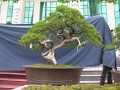 DSCN2765