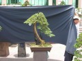DSCN2739