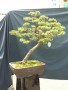 DSCN2800