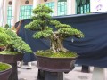 DSCN2789
