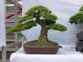 DSCN2824